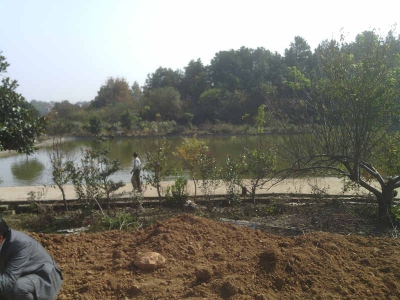 土皇日（经典风水案例30）